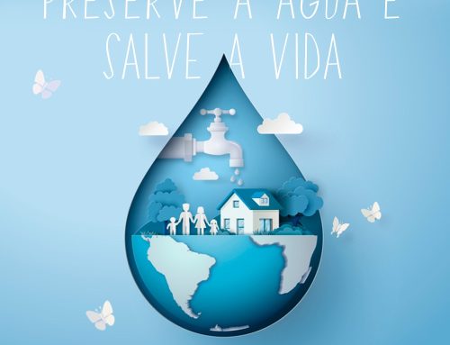 Dia Mundial da Água